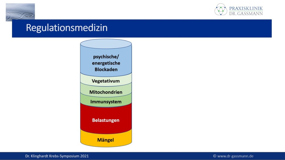 Regulationsmedizin bestehend aus Mängeln, Belastungen, Immunsystem, Mitochondrien, Vegetativum, psychische / energetische Blockaden